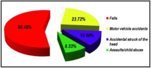 pie chart of childhood injuries