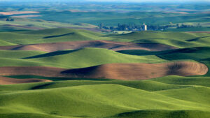 palouse